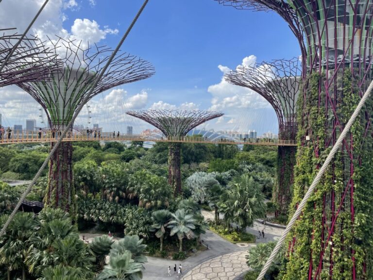 Ocbc Sky Tree 【OCBC Skyway】シンガポール最強フォトジェニックスポットを在住者が紹介 | expat life エキスパットとして働く