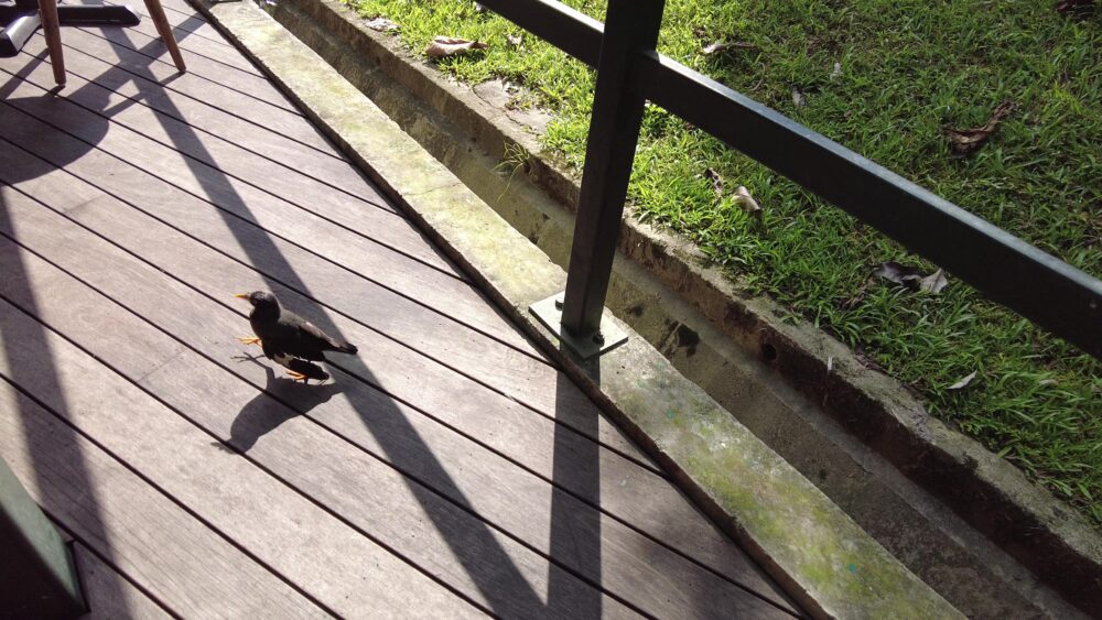 tiong-bahru-bakery-8