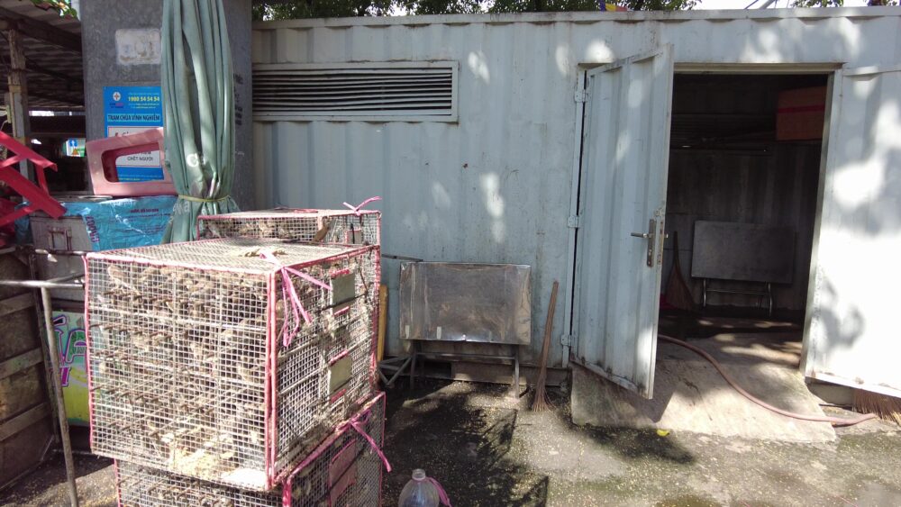 ヴィンギエム寺-4