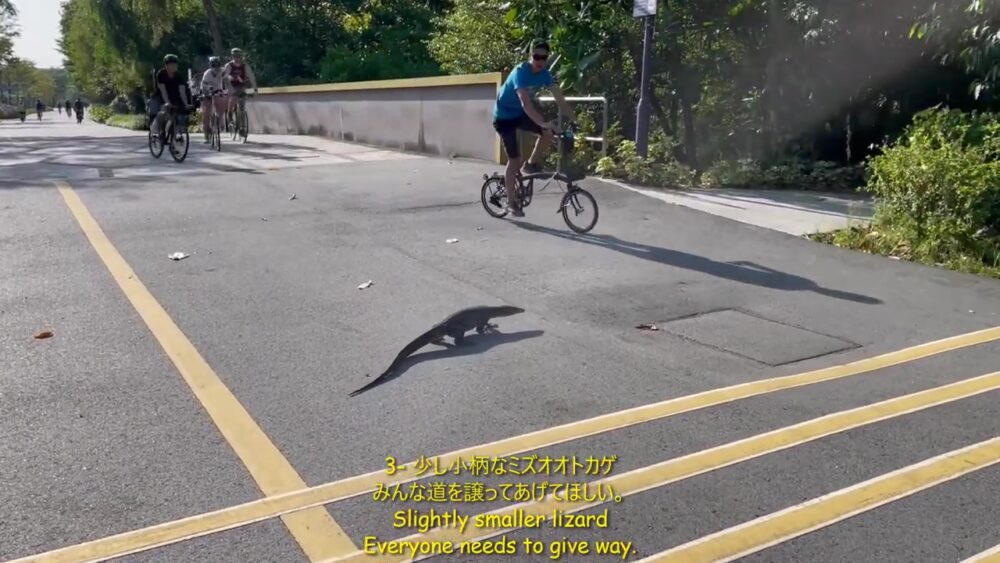 ミズオオトカゲ