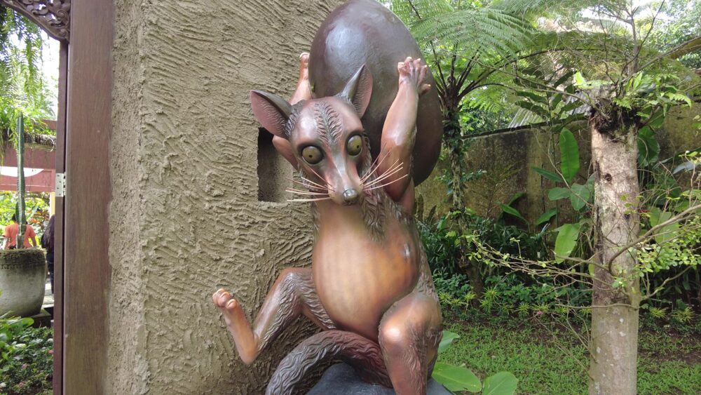 セガラ ウブド コーヒー プランテーション2