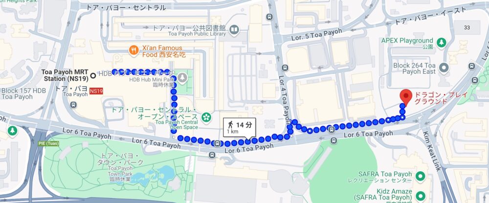 dragon-play-ground-4