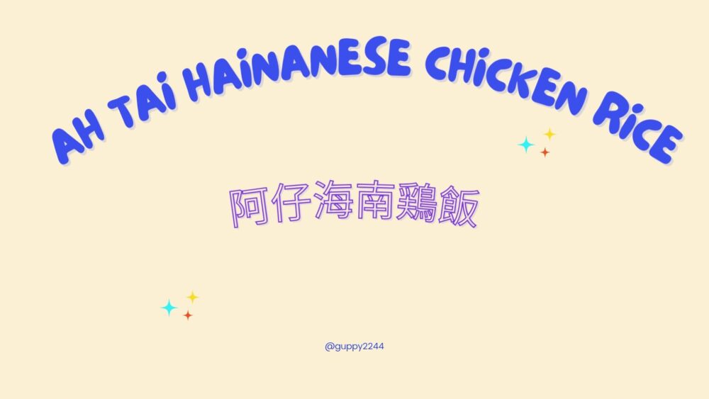 チキンライス-13
