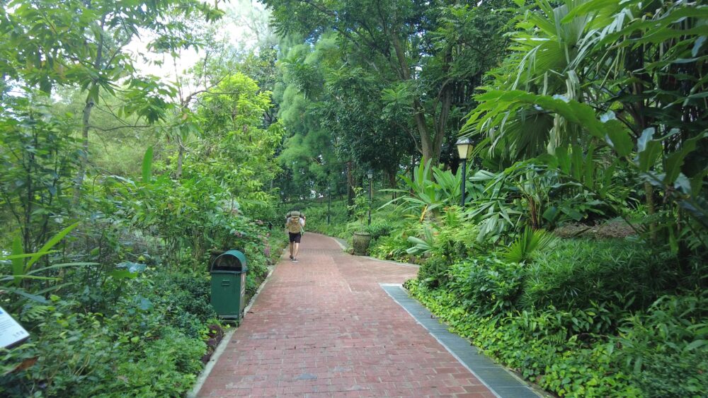 fort-canning-park-4