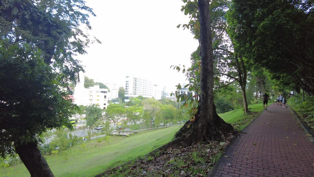 fort-canning-park-5
