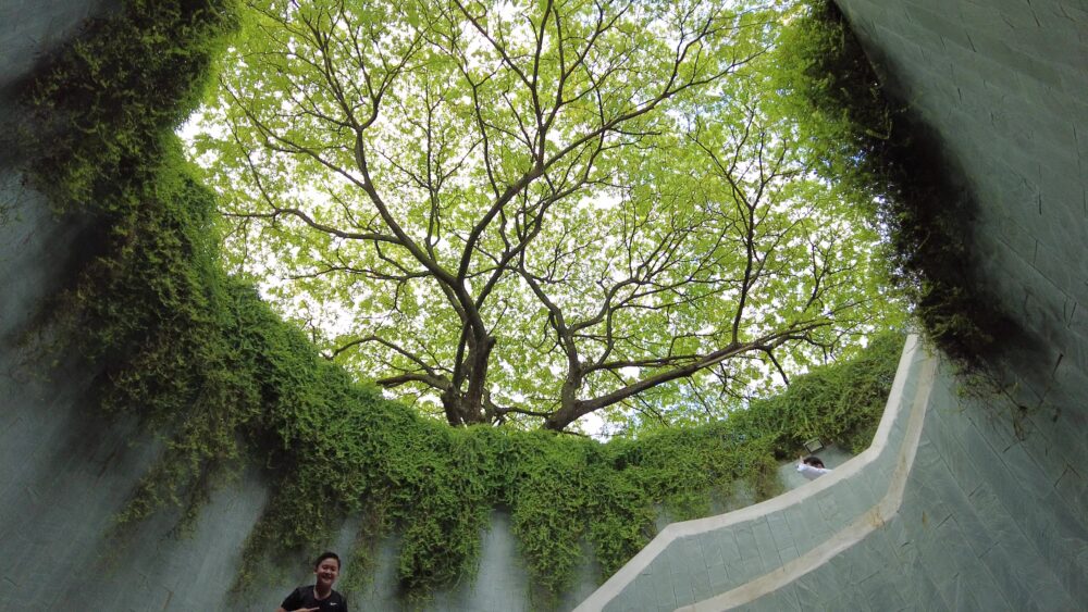 fort-canning-park-9