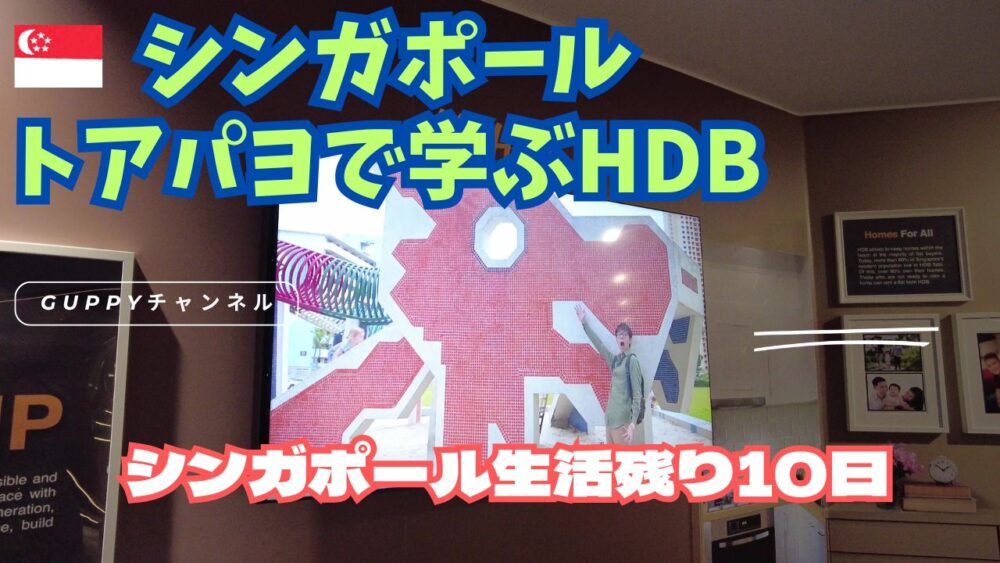 HDB-12